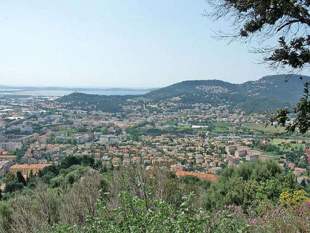 183 HYERES ET SES PALMIERS D03_000060.jpg
